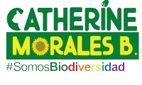 Logos_Piezas_Gráficas-18-1-1-removebg-preview-qkfhcxqubrltavw5r5ck81y1jlva1vqw32dw84w59s-removebg-preview